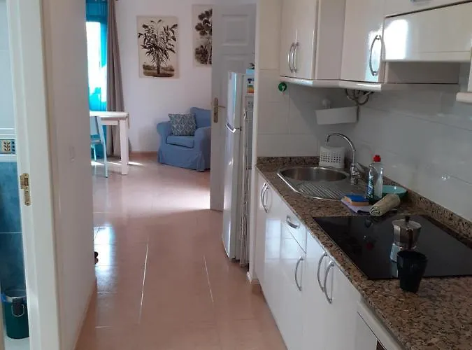 Oasis Waves House